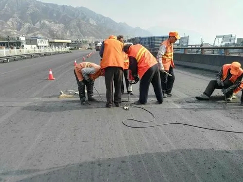 湛江道路桥梁病害治理